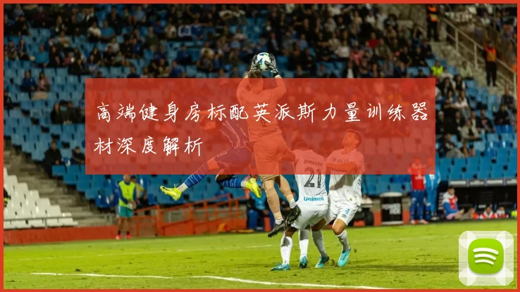 高端健身房标配英派斯力量训练器材深度解析